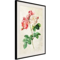 Arkiio Affisch Heavenly Rose [Poster] 40x60 Poster